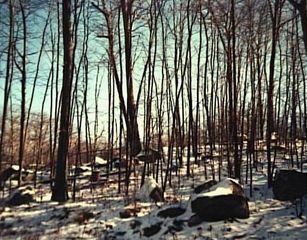 LOT 1 Toddy Hill Road, Newtown, CT 06470