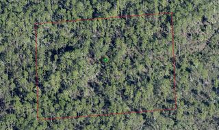 Lake Harney Rd #115, Osteen, FL 32764