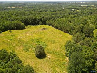 525 Overlook Rd, Blountsville, AL 35031