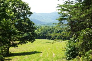 Rhyne Camp Rd, Newport, TN 37821