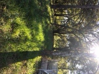 Leo Dr, Fernandina Beach, FL 32034