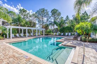 Apartments For Rent In 33647 30 Rentals Trulia