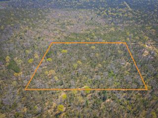 10517 N  Power Pole Rd, Irons, MI 49644
