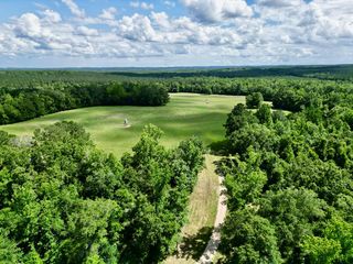 420 Comer Williams Rd, Brundidge, AL 36010