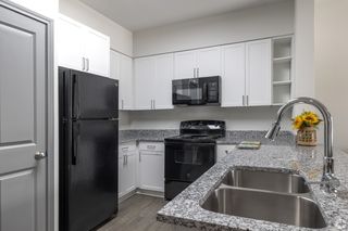 140 Royale Senior Way #1316, San Marcos, TX 78666