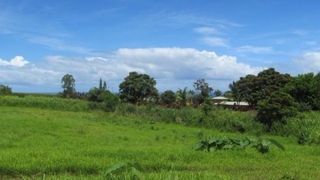 28 1385th #56, Pepeekeo, HI 96783