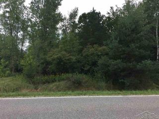 1166 E  Freeland Rd, Merrill, MI 48637
