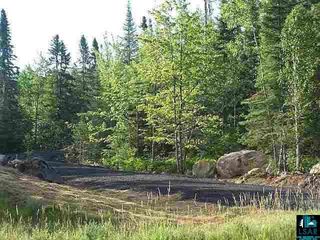 Lot 1 Highway 169, Virginia, MN 55792