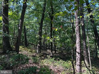 164 Valley View Rd, Basye, VA 22810