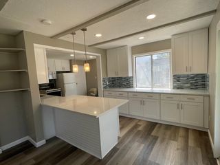 3625 Prairie Ave, Berkley, MI 48072