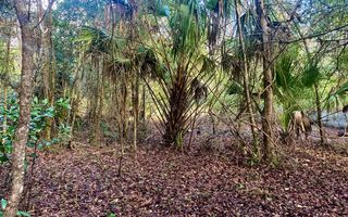 887 NE 197th Ave, Old Town, FL 32680