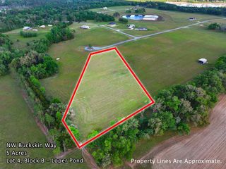 Vacant Nw Buckskin Way, Madison, FL 32340