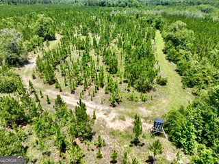 W  River Rd, Rhine, GA 31077