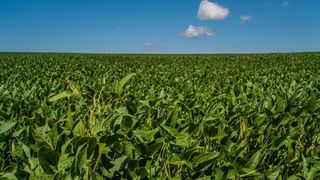 110 Street SW, Byron, MN 55920