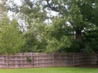 1129 Northfork, Branson, MO 65616