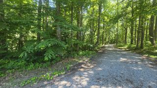 Tbd Forest Rd, Coeburn, VA 24230