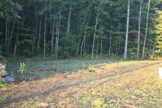 Buffalo Trl, Clarkrange, TN 38553