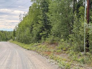 21501 E  Caswell Lakes Rd, Willow, AK 99688