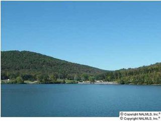 Snug Harbor Rd, Grant, AL 35747