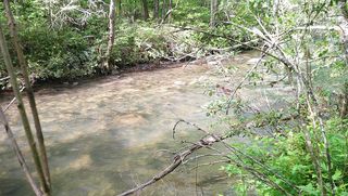 McDonald Rd #9, Murphy, NC 28906