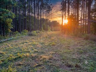 Adaleighs Way #2, Big Sandy, TN 38221