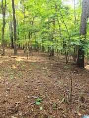 4972 County Road 804 #2A, Wedowee, AL 36278