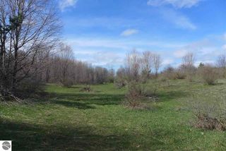 Polish Line Rd, Cheboygan, MI 49721