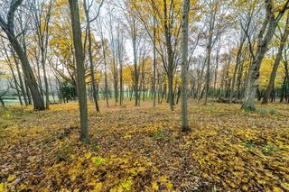 Lt19 TRINITY LANE, Lake Geneva, WI 53147