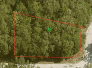 10098 N HALSEY WAY LOT 10, Dunnellon, FL 34434