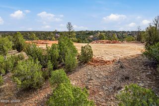 3363 Spring Ct, Heber, AZ 85928