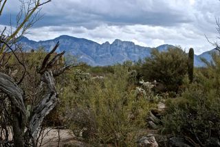 422 E  Sun Spring Pl, Oro Valley, AZ 85755