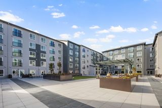 12121 Highway 99 #317, Everett, WA 98204