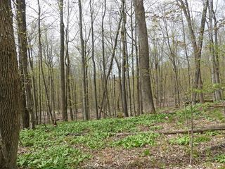 26 Timberland Dr, Andes, NY 13731