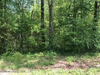 Sunrise Ln, Decatur, TN 37322