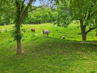Bethlehem Rd, Decatur, AR 72722