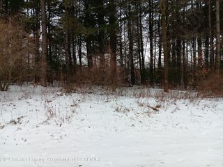 5 Blue Water Way, Perry, MI 48872