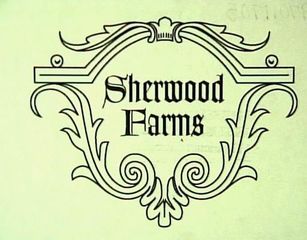 140 Sherwood Farm (lot 15) Road, Fairfield, CT 06430