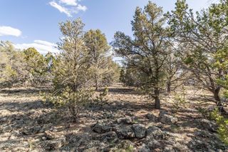 174 E  Ironwood Dr #475, Williams, AZ 86046