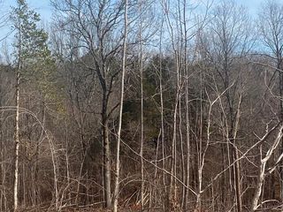 County Road 146, New Albany, MS 38652