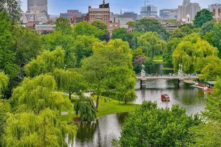 250 Boylston St #PENTHOUSE, Boston, MA 02116