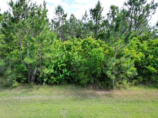 110 Torrey Pine Trl, Wewahitchka, FL 32465