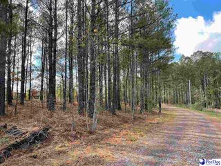 1.43 Hunters Run Ln, Wallace, SC 29596