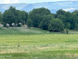 S  Mountain Ave, Eagar, AZ 85925