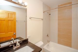 Apartments For Rent In Jackson Park Chicago Il 130 Rentals Trulia