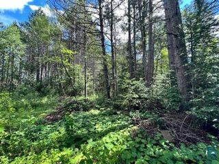 Comet Rd, Embarrass, MN 55732