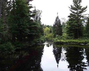 Gouchie Road, Minerva, NY 12851