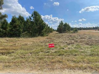 30 County Road 2204d & Dm #1797, Tatum, TX 75691