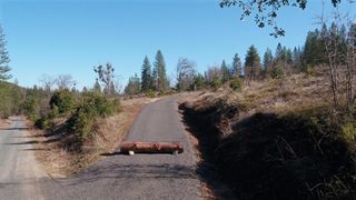 11126 Jordan Creek Rd, Coulterville, CA 95311