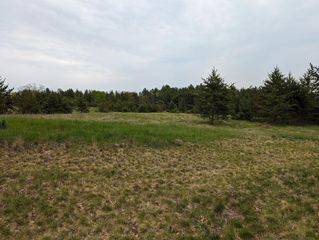 County Road 3, Fifty Lakes, MN 56448