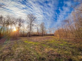 Riverview Beach Rd, Moundville, AL 35474